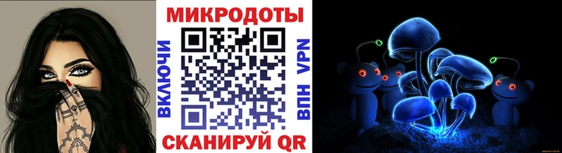 Галлюциногенные грибы мухоморы  купить наркотик  Кадников 